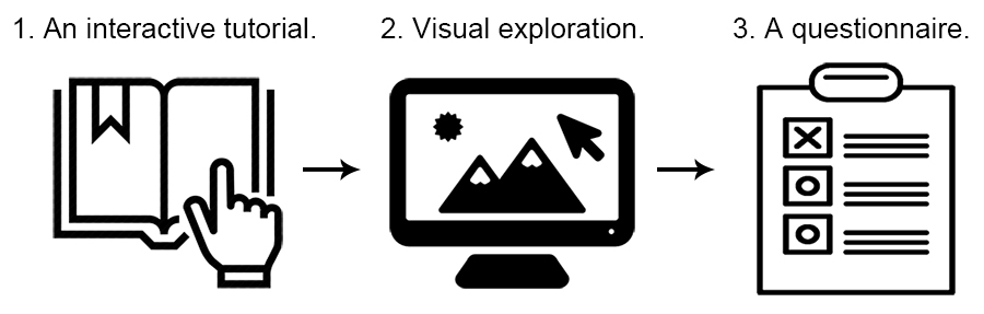 1. Complete an interactive tutorial;
2. Freely explore the visualization to complete a task;
3. Fill out a questionnaire.